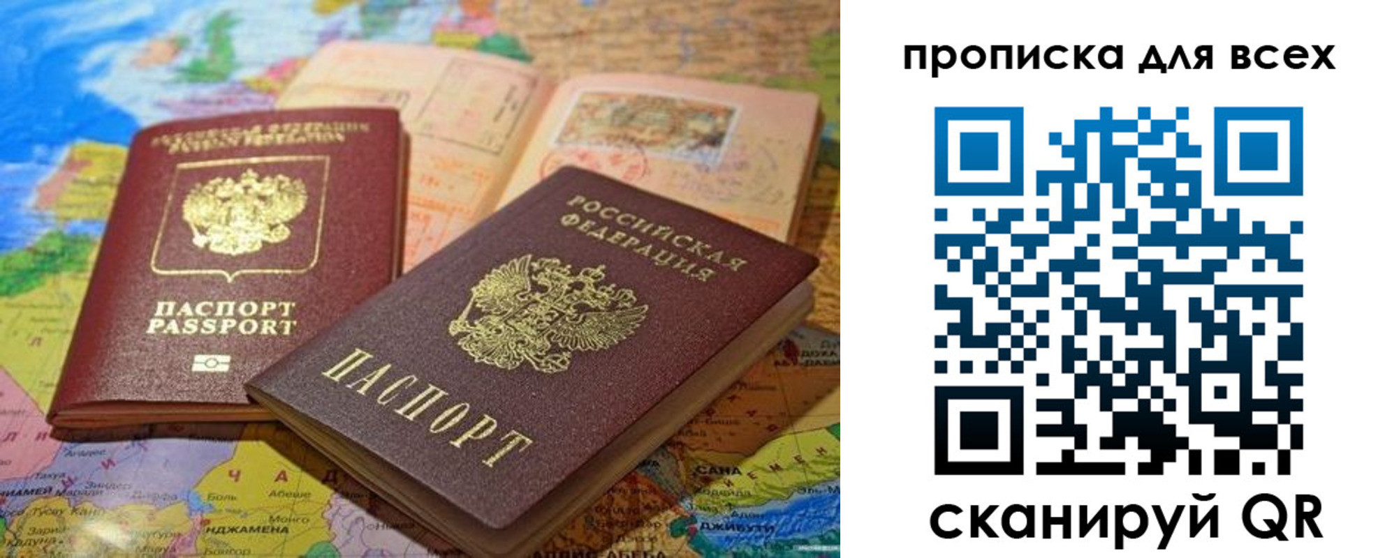 прописка гарантия в Стародубе