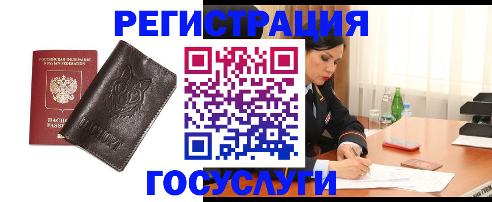 прописка гарантия в Стародубе